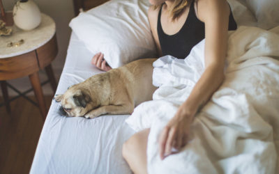 Why A Good, Proper Sleep Will Aid Your Weight Loss Efforts