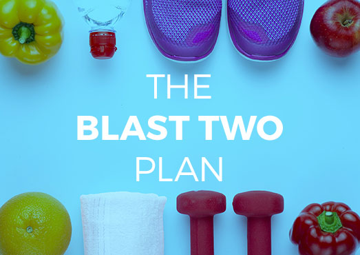 The BLAST TWO Plan