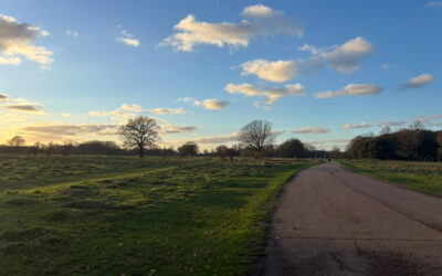 The 5 golden traps of Twixtmas …and how to avoid them.